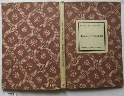Trudels Geheimnis (Knabes Jugendbücherei)
