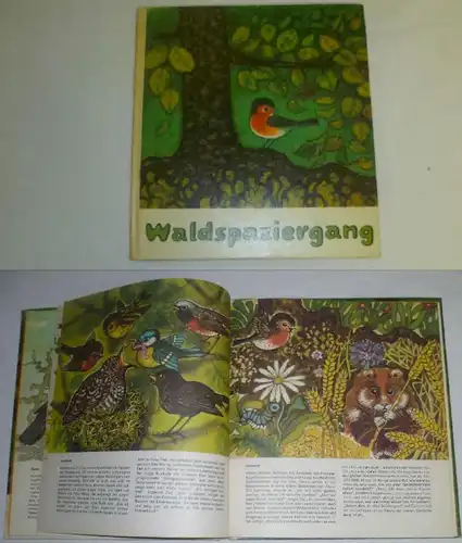 Waldspaziergang - Ein Bilder- und Bastel-Buch