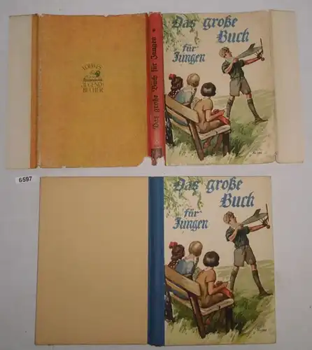 Le grand livre pour les garçons - Un volume de divertissement, d'enseignement et d ' emploi