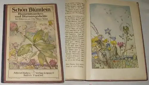 Schön Blümlein - Blumenmärchen und Blumengedichte (Die bunten Bücher - Lesestoff für die Grundschule, Band 4)