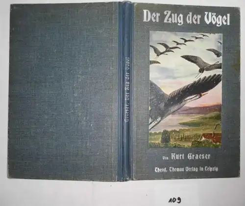 Der Zug der Vögel