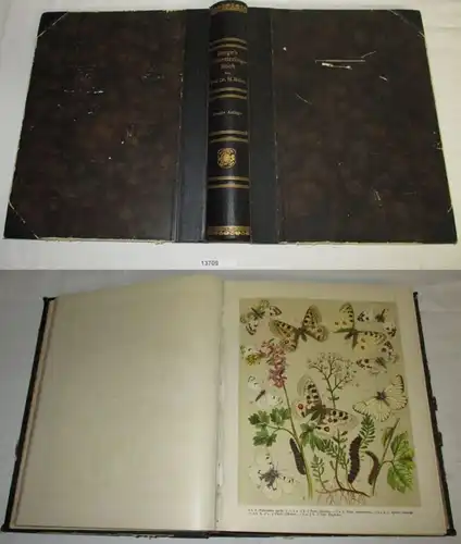 Le livre de Papillon de Montagne selon le niveau actuel de la lépidoptérologie.