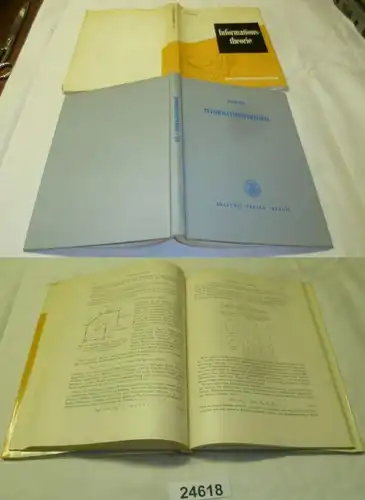 Informationstheorie - Einführung in die statistische Theorie der elektronischen Nachrichtenübertragung (Elektronisches R