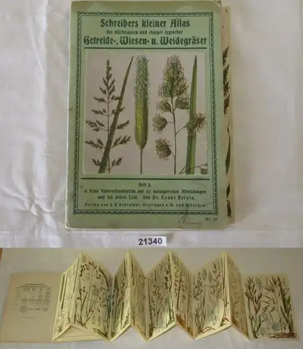 Schreibers kleiner Atlas der wichtigsten und einiger typischer Getreide-, Wiesen- und Weidegräser Heft 2 - 9 feine Farbd
