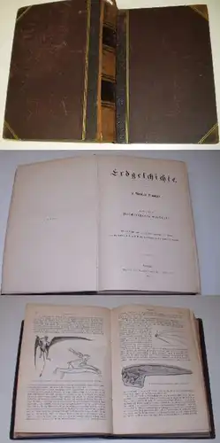 Histoire de la Terre - 2e volume Géologie descriptive