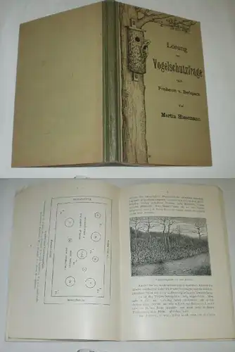 Lösung der Vogelschutzfrage nach Freiherrn v. Berlepsch