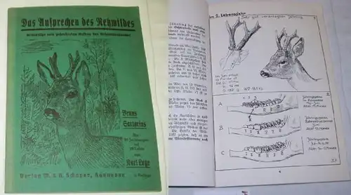 La réponse du cerf sauvage - principes fondamentaux pour la constitution du cheptel de cerfs