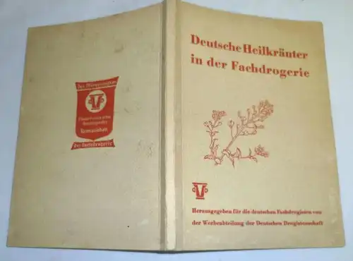 Deutsche Heilkräuter in der Fachdrogerie