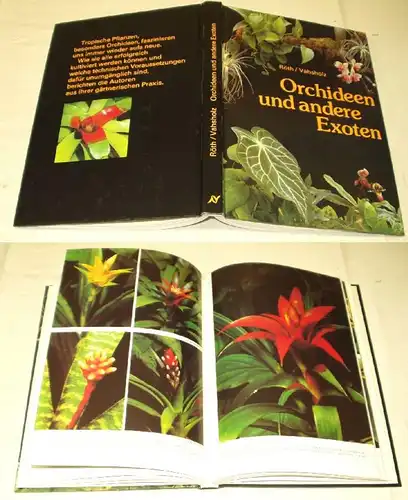 Orchidées et autres exoténoïdes
