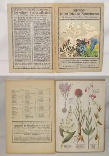 Scribers petit atlas des plantes alpines, avec désignation des espèces alpine à protéger