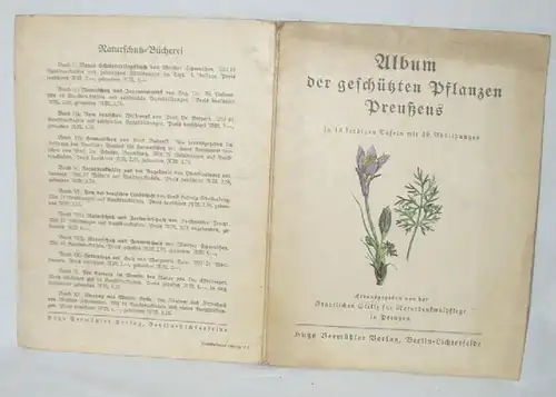 Album des plantes protégées de Prusse