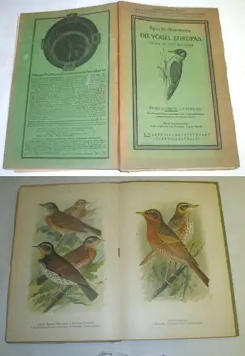 Spicht-Nauman: Les oiseaux d'Europe Volume II, 2e livraison
