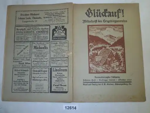Glückauf! Zeitschrift des Erzgebirgsvereins, 10. Heft Oktober 1929