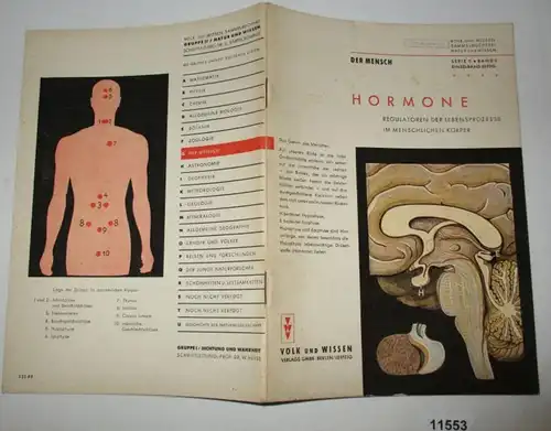 Der Mensch: Hormone, Regulatoren der Lebensprozesse im menschlichen Körper - Volk und Wissen Sammelbücherei, Natur und W