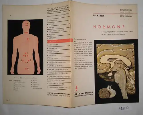 Der Mensch: Hormone, Regulatoren der Lebensprozesse im menschlichen Körper - Volk und Wissen Sammelbücherei, Natur und W
