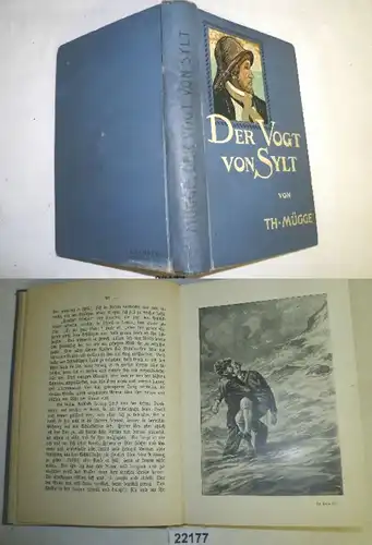 Le Vogt de Sylt. - Le vote de M. Silt