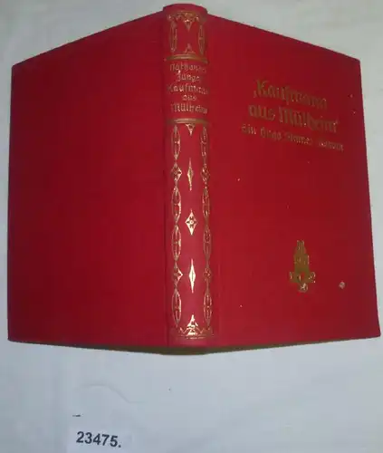 Kaufmann de Mülheim - Un Hugo Stinnes-Roman écrit au peuple allemand