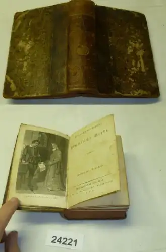 Friedrichs von Schiller erschüßliche Werke, Dreydze (13ème) et Quatorzième (14ème), Bandes dans un volume