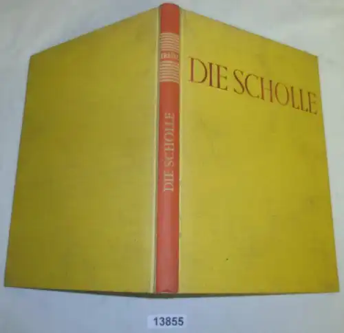 Die Scholle