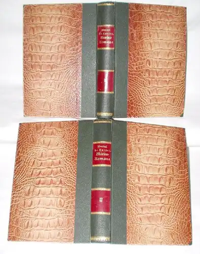 Admiral de Ruyter - Marine-Roman, 2 Bände