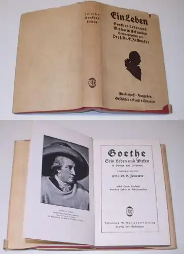 Goethe - Sa vie et son action en images et en actes