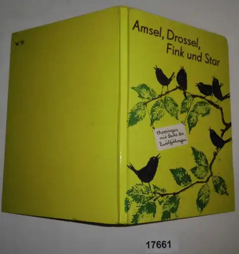 Amsel, Drossel, Fink und Star - Chorsingen mit Sechs- bis Zwölfjährigen