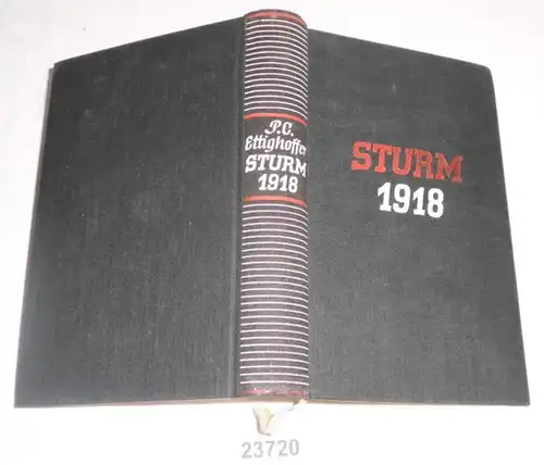 Sturm 1918 - Sieben Tage deutsches Schicksal