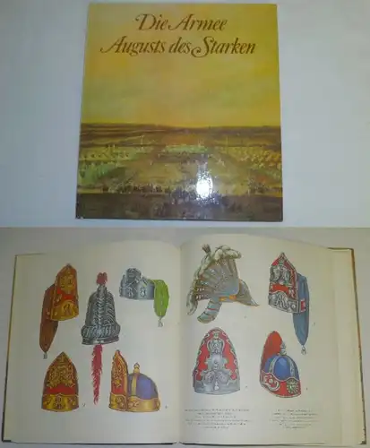 Die Armee August des Starken - Das Sächsische Heer von 1730 bis 1733