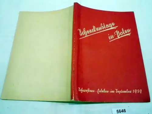 Journées de terreur en Pologne - Sœurs-Vivre en septembre 1939 (Heft de la Deutsche Gemeinschaft-Diakoniaverband, Nr.