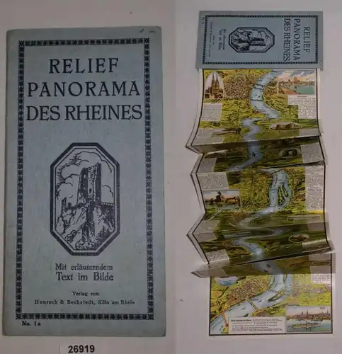 Relief-Panorama des Rheines
