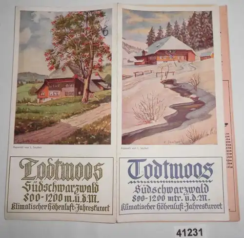 Brochure de voyage: Todtmoos Forêt Noire du Sud - Centre thermal annuel de l'air d'altitude