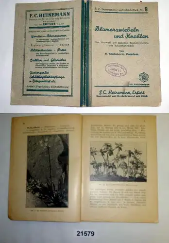 Oignons et tubercules - Une sélection des plus belles oignons et légumes-bulbes (F.C. Hinemanns Gartenbiblio