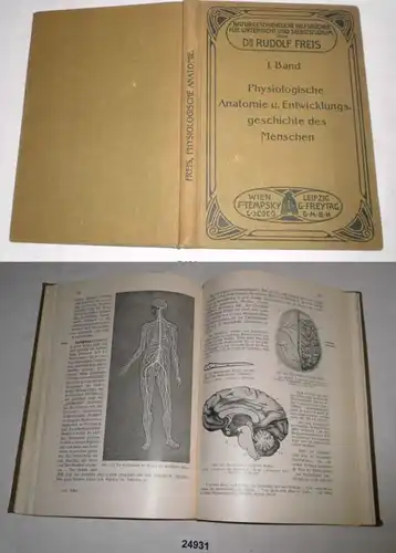 Physiologische Anatomie und Entwicklungsgeschichte des Menschen - Zugleich Einführung in das Studium der Zoologie (Natur
