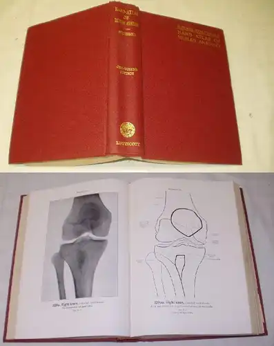 Hand-atlas of human-anatomy (Hand-Atlas der menschlichen Anatomie) Vol. (Band) 1