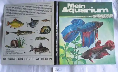 Mein Aquarium