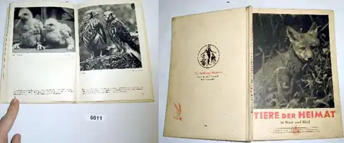 Animaux de la maison dans le mot et l'image (volume 5 des livres d'amis des animaux)