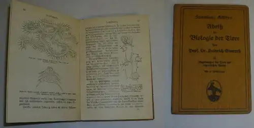 Collection Göschen N° 654: Déchirement de la biologie des animaux II. Partie Relations des bêtes avec la nature organique