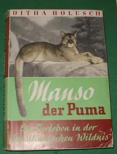 Manso der Puma - Ein Tierleben in der brasilianischen Wildnis
