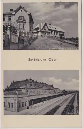 21760 Mehrbild Ak Schönbrunn (Oder) Svinow Bahnhof usw. 1941