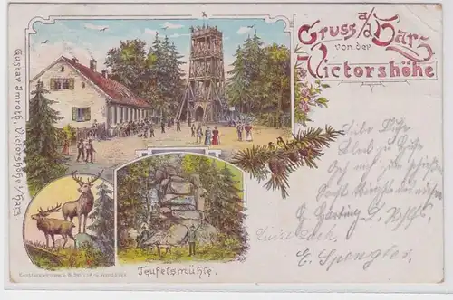 24891 AK Gruss aus dem Harz von der Victorshöhe - Teufelsmühle & Turm 1898