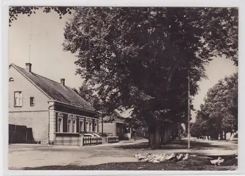 60615 AK Buchholz, Kreis Röbel / Müritz - Dorfstraße, Vue sur la route 1971