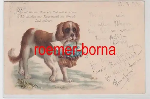 67714 Künstler-Ak Hund mit Korb voll Vergißmeinnicht und einem Brief 1899