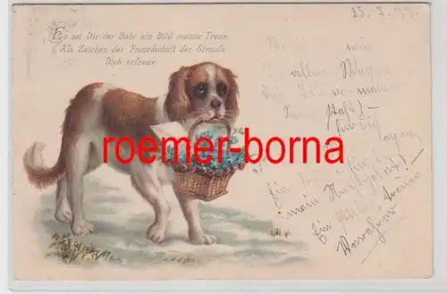 67714 artiste-ac chien avec panier plein de ne pas oublier et une lettre 1899