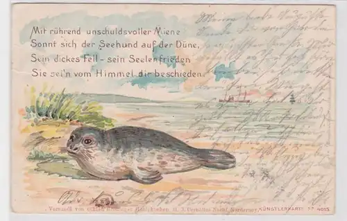 68404 Künstler Ak Reim und 'Seehund auf der Düne' 1901