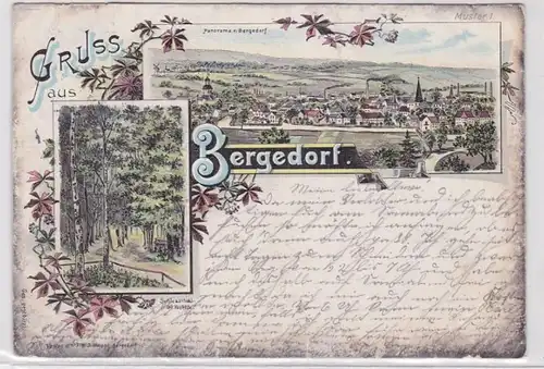 69856 Ak Lithographie Salutation de Bergedorf Panorama et Schiessthal 1901