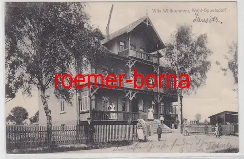 70825 Ak Wald Oppelsdorf (Opolno-Zdroj) Villa Willkommen 1909