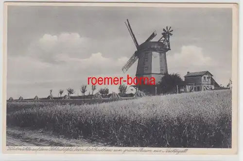 78924 Ak Cospeda Windmühle beim Gasthof 'Der grüne Baum zur Nachtigall ' um 1910