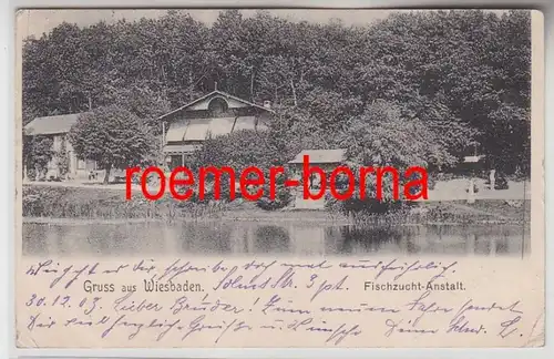 79033 Ak Salutation de Wiesbaden Fischwirtschaft-Anstalt 1903