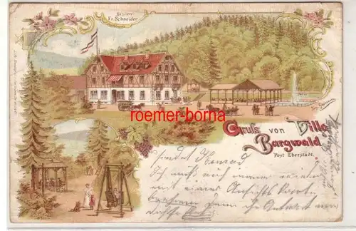 79895 Ak Lithographie Gruss de la Villa Burgwald Post Eberstadt 1899