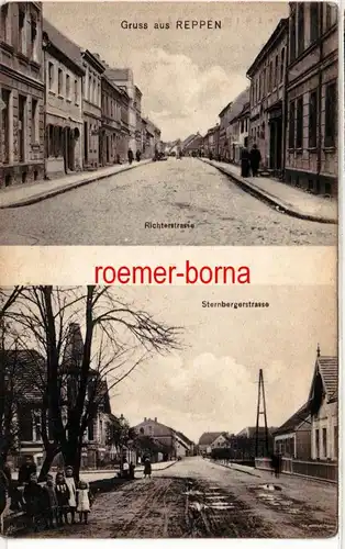 80079 Mehrbild Ak Gruss aus Reppen Richterstrasse und Sternbergerstrasse 1908